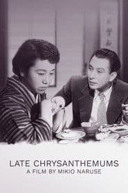Late Chrysanthemums