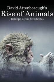 Rise of Animals: Triumph of the Vertebrates