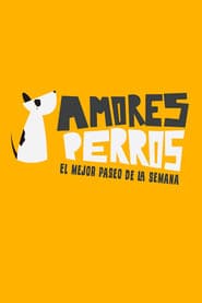 Amores Perros