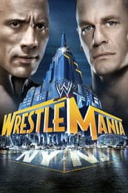 WrestleMania 29
