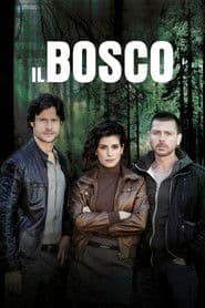 Il bosco